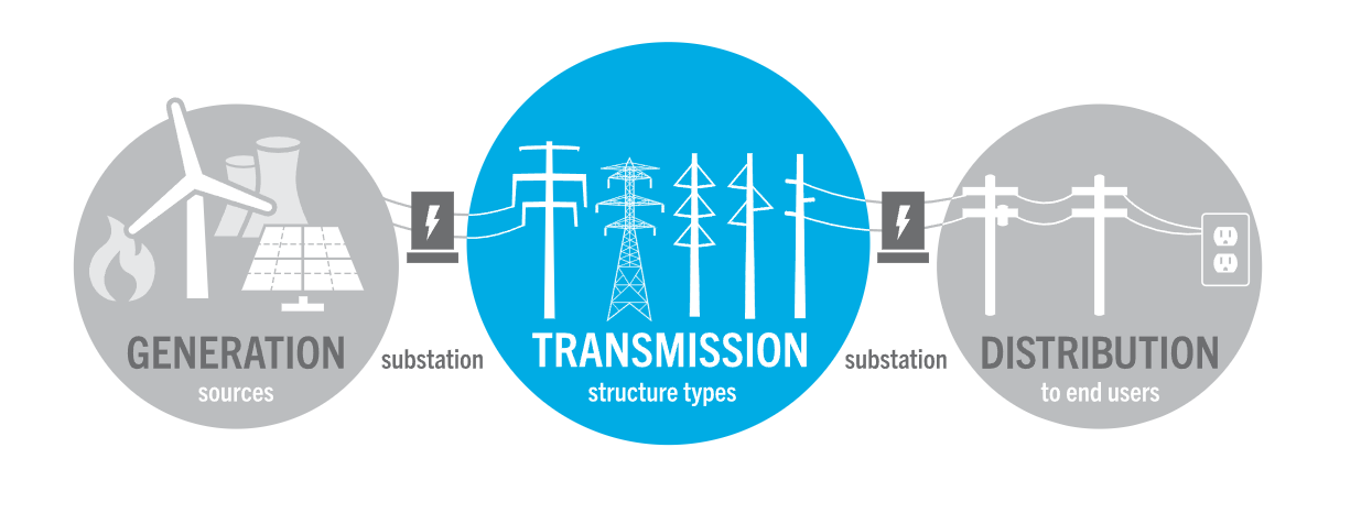 Gridlines of Growth: A Glimpse of T&D Capex and Skipper Ltd’s Journey Through It │ CompoundingAI