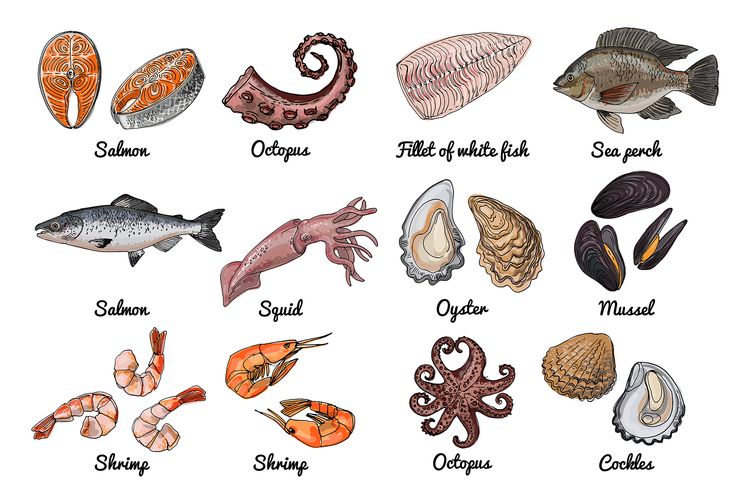 India’s Seafood Industry: Global Trade, Aquaculture, and Corporate Performance
